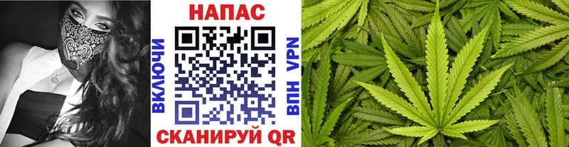 Бошки марихуана семена  где купить   Ульяновск 
